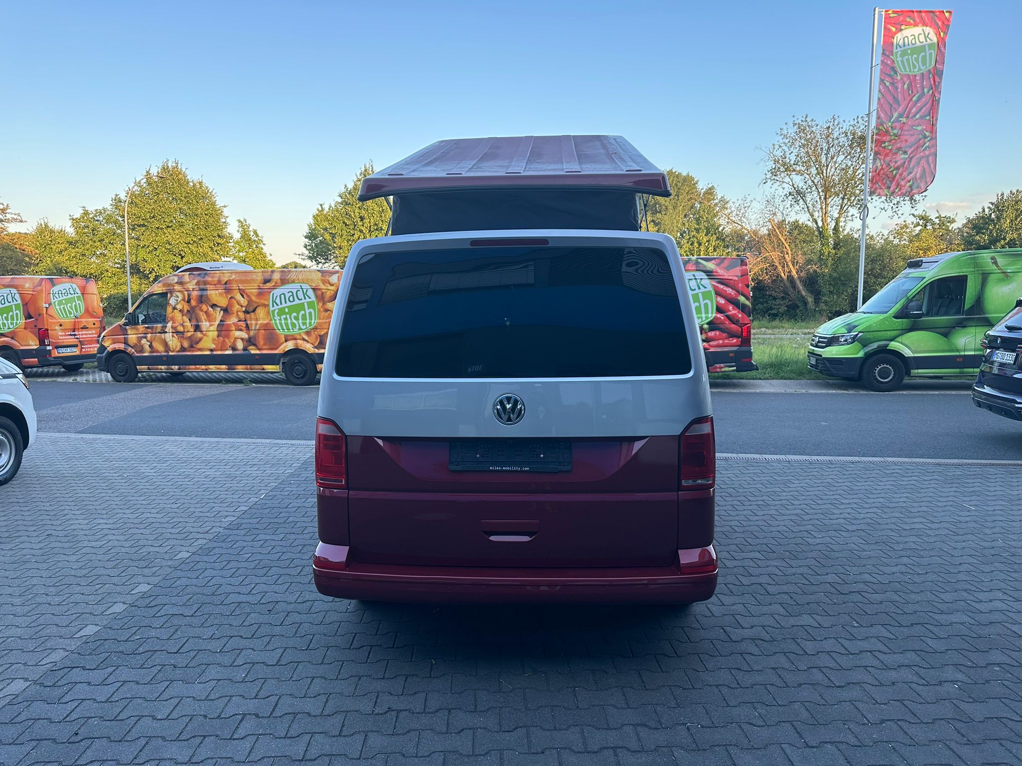 Volkswagen T6 Camper 2.0 TDI 102PS unfallfrei | Wohnmobil mit Hubdach Schlafdach, PDC, Navi, Rückfahrkamera | Campervan Umbau 5 Sitzer | VW
